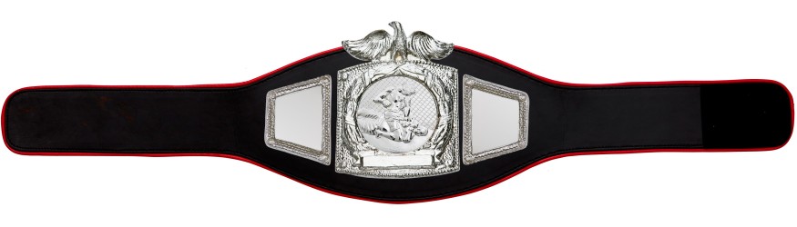 PROEAGLE MMA CHAMPIONSHIP BELT - PROEAGLE/S/MMAS - AVAILABLE IN 6+ COLOURS PROEAGLE MMA CHAMPIONSHIP BELT - PROEAGLE/S/MMAS - AVAILABLE IN 6+ COLOURS